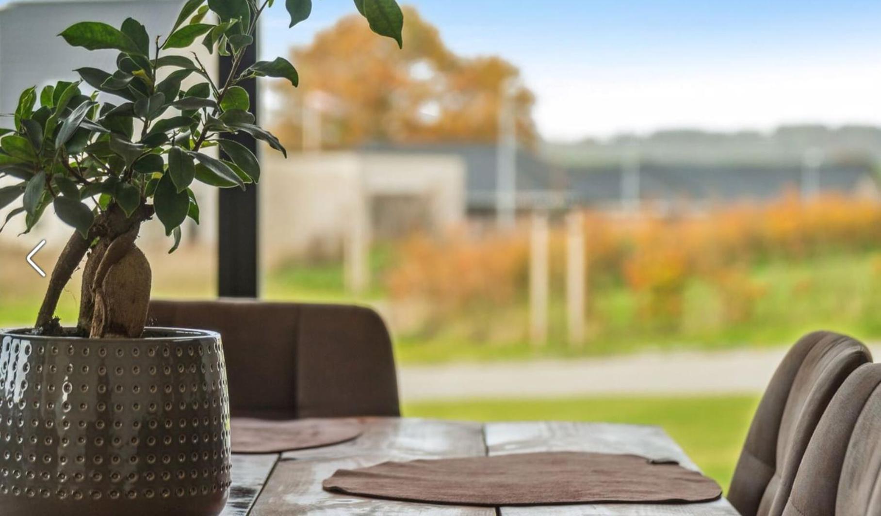 Bright, Quiet, Comfortable In A Luxury Homestay